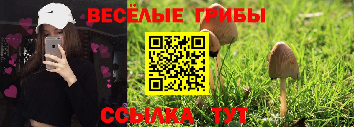 Галлюциногенные грибы Psilocybe  Вход с VPN  Кудымкар 